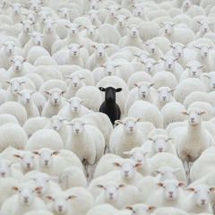 3 Richz - LilGost x 2Richz x Gotyong