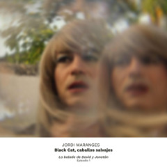 Black Cat, caballos salvajes