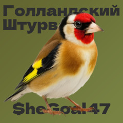 $heGoal47 - Голландский штурвал