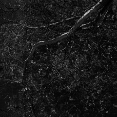 Headlck (CRUSHED) Prd. 0shK0sh