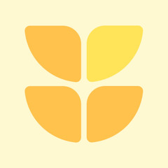 Daffodils