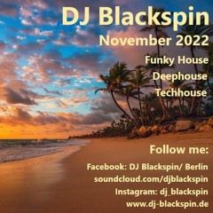Blackspin's Deep & Funky House Session 11/2022 (Todd Terry, Crazibiza, Marshall Jefferson)