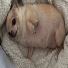 the start (or maybe just the end)