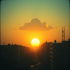 Velvet Hammer   /   Fuji-Gale