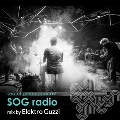 Elektro Guzzi -SOG radio#014- Live2020