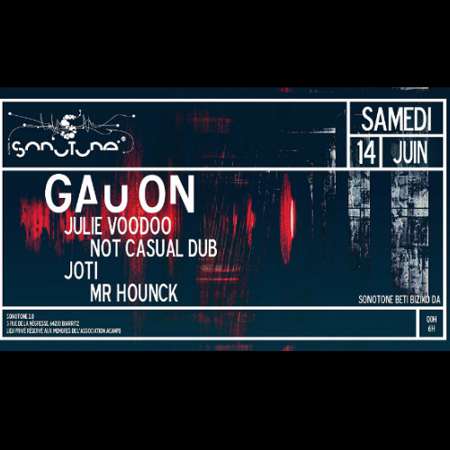 Mr Hounck (Mini/Hypno/Hardgroove Techno) @ Gau on - Sonotone2.0 14:06:25