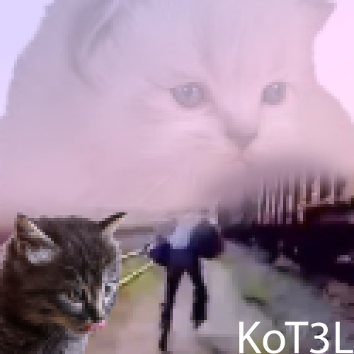 Отдай сало | salt or die