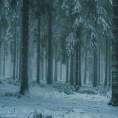 Cold Case Investigation - Minimalist Piano & Tense Sub-Drones