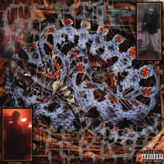 5H3DD1NG✙TERR9R [UCGEIST]