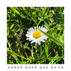 Demo take 2 - cover aonde quer que eu vá (capo casa 5)