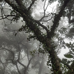 dreaming p. @imnotmar