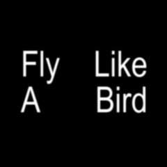 Fly Like A Bird