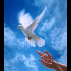 طير يا حمام للنجمة وقل لها