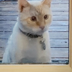 Kimba's Mix - 2020 - 06 - 05