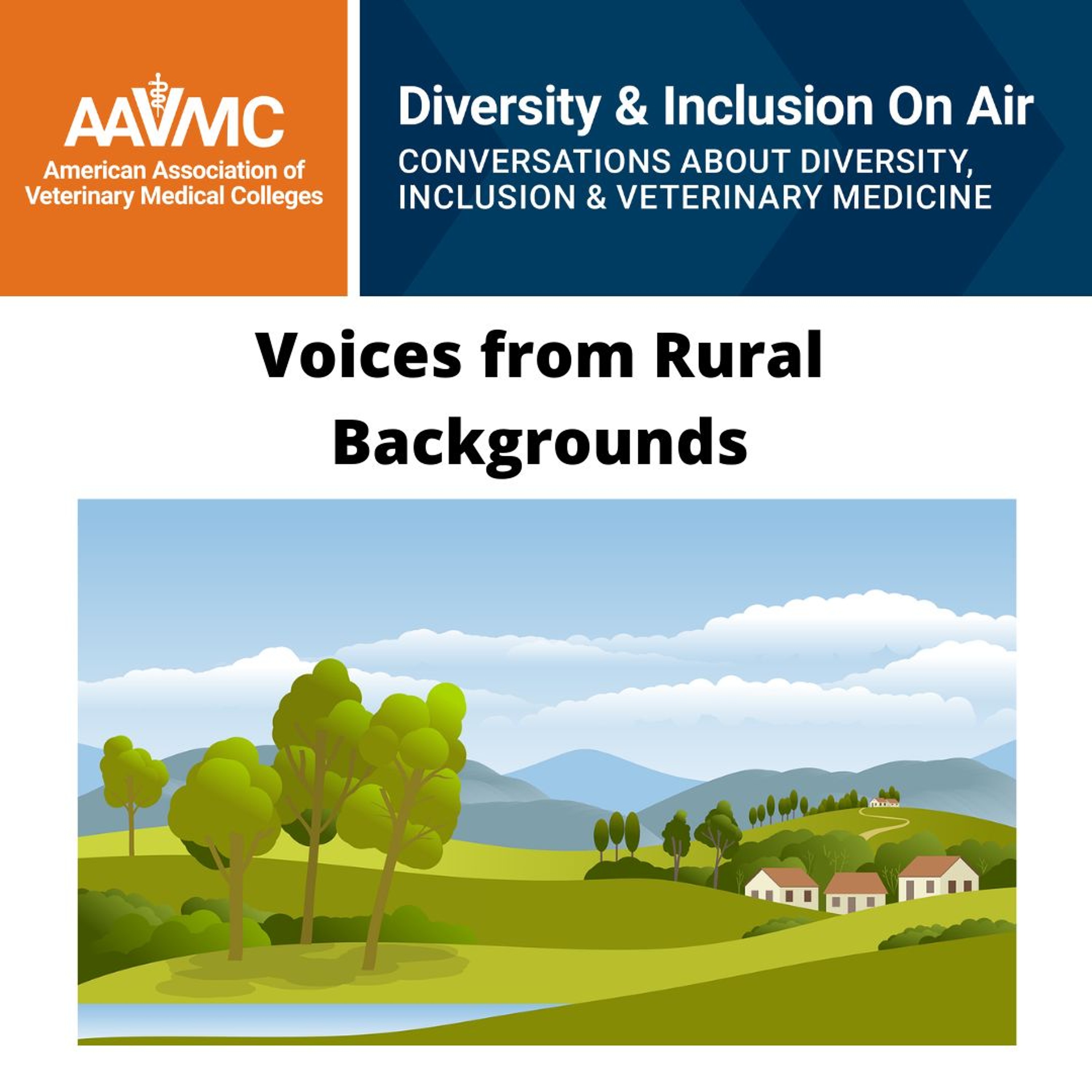 AAVMC\'s On Air: Conversations about Issues in Veterinary Medicine