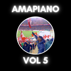 AMAPIANO VOL 5 2021 (Boohle, Njelic, Sir Trill, DeMthuda, Aymos, Mas Musiq)