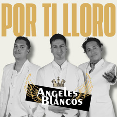 Por Ti Lloro