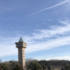 きちがい記念日