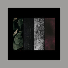 CF Premiere:  Clinical25 - Luce Velata [ANTISTAGE]