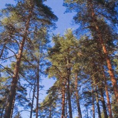 way it goes (hippo campus): slowed and reverb