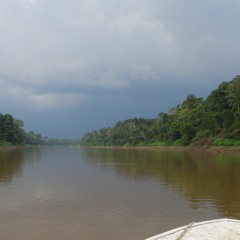Río Tapiche