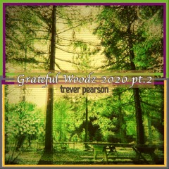 Grateful Woodz 2020 Pt2