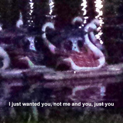 I just wanted you, not me and you, just you