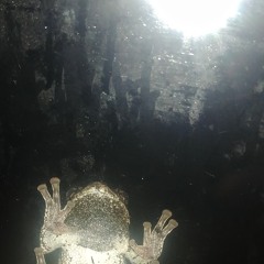 Sounds from Saturday morning