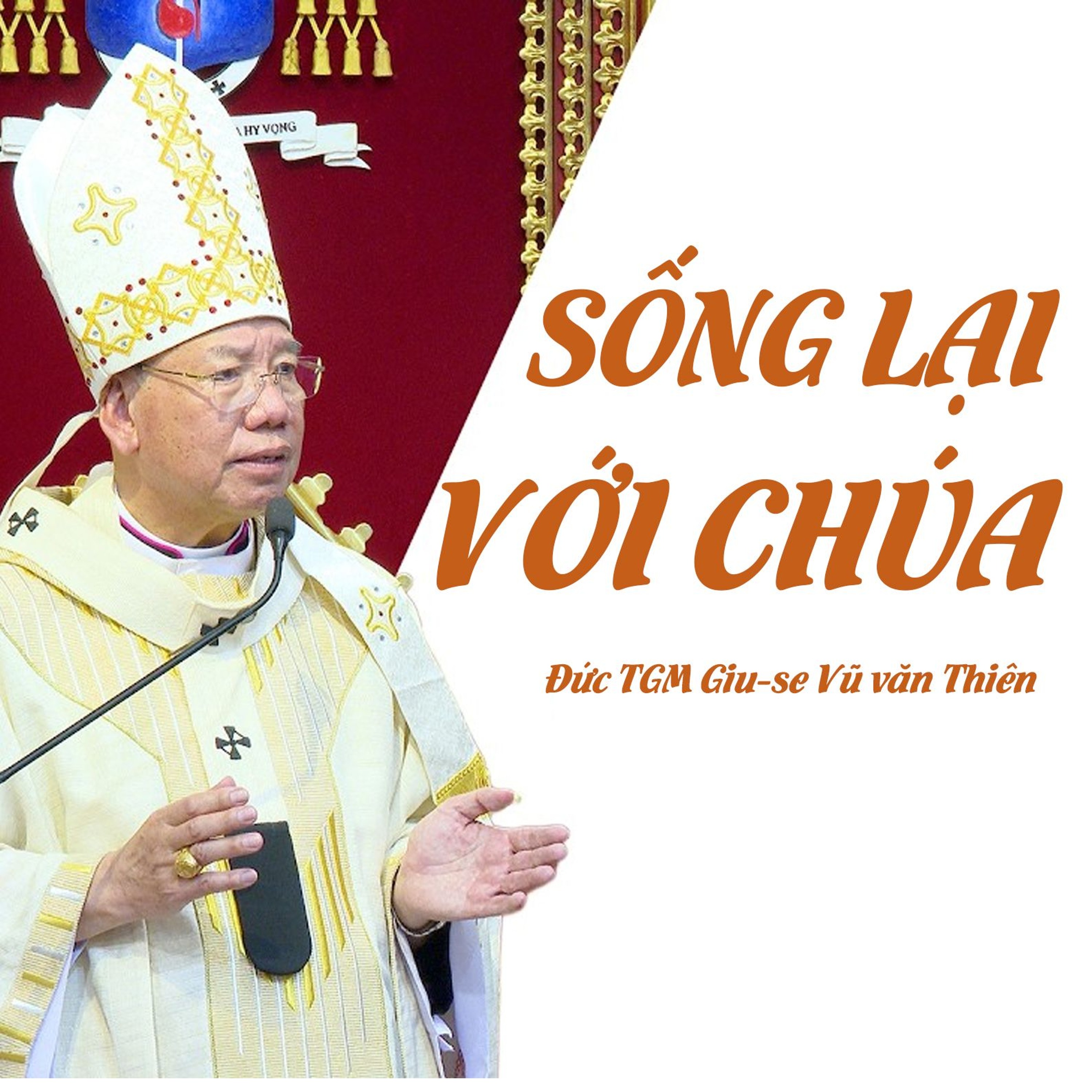 Sống lại với Chúa - Đại Lễ Mừng Chúa Phục Sinh 2026 _ Đức TGM Giu-se Vũ Văn Thiên episode artwork
