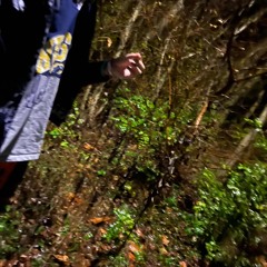 🌄peak_of_dawn🥱 {prod.xstevan}