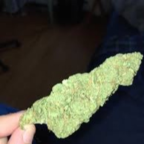 (TPL) Bm X Mini - OFB Who