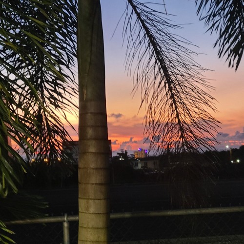 DJ Noiz Sean & Jessie Folded Remix🌺