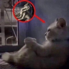 Lonely (traumaticbonds)