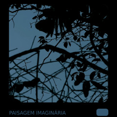 paisagem imaginaria - programa 1