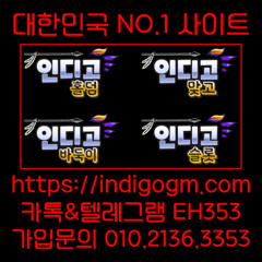 지난달 인디고게임 통상적인 공표를 하지 않은 채 2025년 1차분 생산쿼터를
