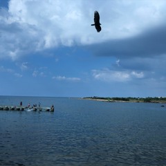 [demo] 하늘을 나는 꿈 (dream of flying) 230408