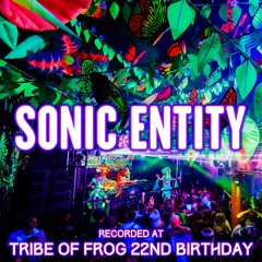 Sonic Entity - Recorded at TRiBE of FRoG 22nd Birthday