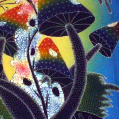 Urfftal Session 12 2019