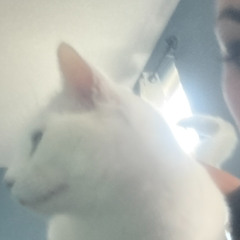 leave u worse than i found u