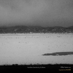 Leonard Cohen's Did I ever (Cover) Para mi