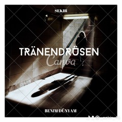 Sekir -Tränendrüsen- prod. by Katharina