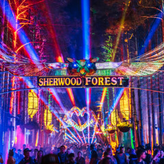 Liquid Stranger @ Electric Forest 2025