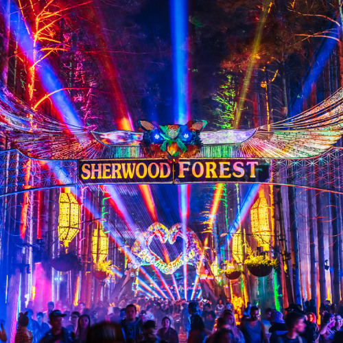Liquid Stranger @ Electric Forest 2025