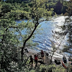 Highland Trippin'