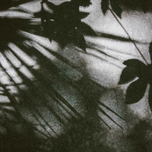 Christian Schiemann - Could Be (Original Mix)