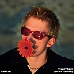 Thom Yorke - Dawn Chorus (linklnn remix)
