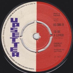 Rub-A-Dub Sevens - rarities, discomixes, versions & vintage singles