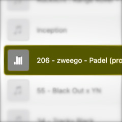 206 - Zweego (2022)