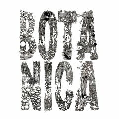 BOTANICA EP - BOTA001