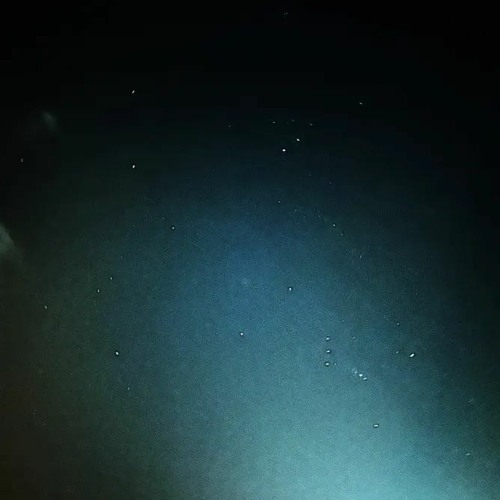 PSICOSE, NETAJIN - INDIGO